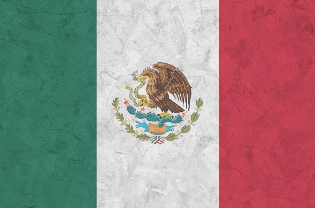 Mexico flag depicted in bright paint colors on old relief plastering wall close up